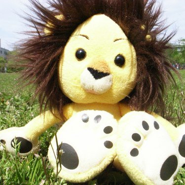 Ken's C.H.Lion (@CHLionRagbaby) / Posts / X