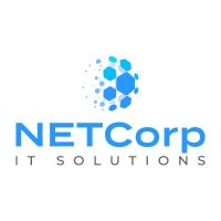 NETCorp IT Solutions(@NETCorp_IT_Sol) 's Twitter Profile Photo