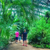 Onur Turaba (@oturaba) Twitter profile photo