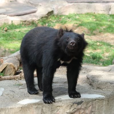 3jnes7npdV6HZEP's profile picture. 3KK