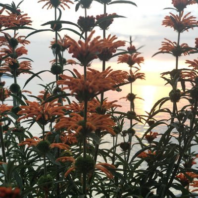 rrarr10's profile picture. 