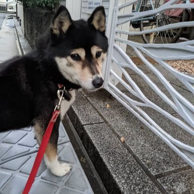 npop_thinkthink's profile picture. 150cm、33歳のダイエットアカウント😊

2019.9月:54.1kg、33.3%
2020.3月:46.4kg、28.5%
→約8キロ減量成功中！
次は美容体重45.0を目指してます。
ダイエット仲間探し中♪

モットーはちゃんと食べて運動して、キレイに健康的に痩せる！