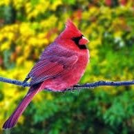 Sonaldo29763604's profile picture. Student