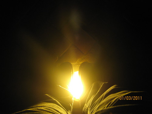 linderpaulino's profile picture. 