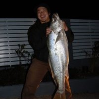 Nori (@n426) 's Twitter Profile