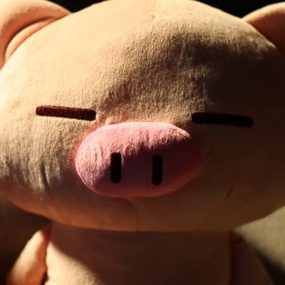 BUTATAtoMETA's profile picture. 妻(ねんだー)の影響で、ぶーちゃん(ぶたたさん)の事を愛しはじめた、40台JJI でございますm(_ _)m

言葉少なめでいこうかと思っております。