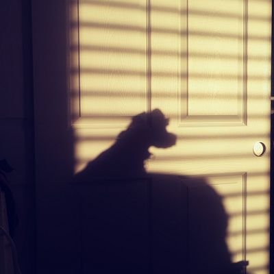 forgetheflowers's profile picture. @Forgetheflowers@masthead.social