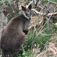 Snivellus Slughorn (@worldisenough) 's Twitter Profile Photo