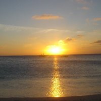 Fast Florida (@stuartfainer) 's Twitter Profile