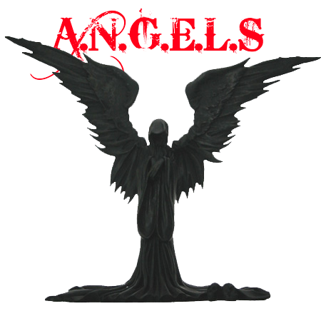 AngelStudios's profile picture. 