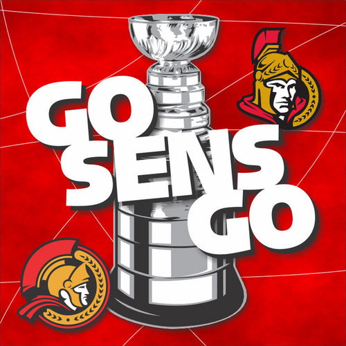 GoSensGo.jpg