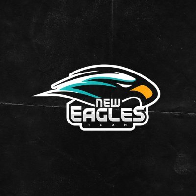 New Eagles Team