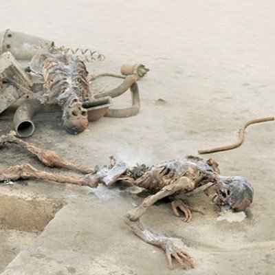 LarsToasted's profile picture. Meanwhile, on the Lars homestead...