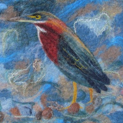 chair of the American Birding Association board of directors, birder, fiber artist