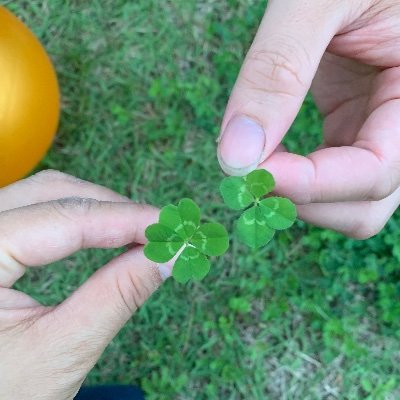 お金とバンタンが大好きです💜 よろしくお願いします🤲