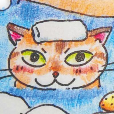 いそじマさんのプロフィール画像