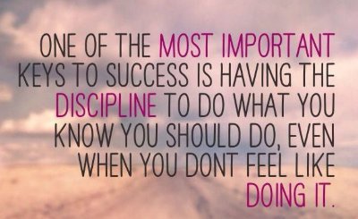 Steven80837511's profile picture. 