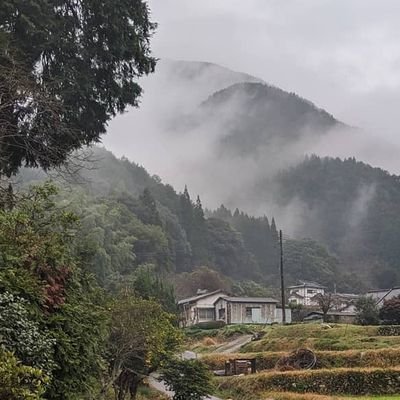 g3ZTntAQ46y41AC's profile picture. 8歳男子の母。