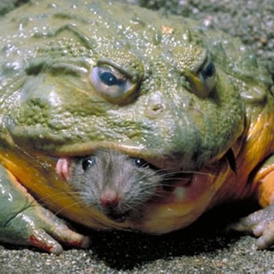 eatmygunk's profile picture. rip turing police, gone but never forgotten