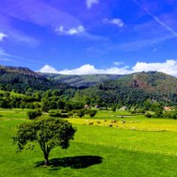 Cabuérniga 🌳🌿 (@vallecabuerniga) 's Twitter Profile Photo Cabuérniga 🌳🌿 (@vallecabuerniga) 's Twitter Profile Photo