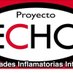 Proyecto ECHO EII (@EiiEcho) Twitter profile photo