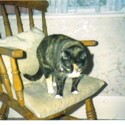 Tanokcfc887's profile picture. 