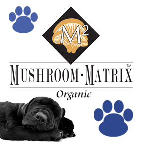 petmatrix's profile picture. A blend of 9 medicinal mushroom species formulated to provide a balanced, daily platform for optimum health for our Canine and Feline friends.