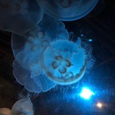 delphy50's profile picture. 별일 생기면 또 지난 시간이 돼