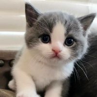 Harun 💫 (@0harunarslan) Twitter profile photo