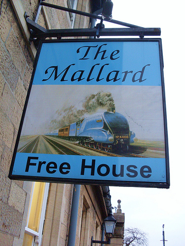 Mallard_Worksop Profile Picture