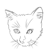 ennlak (@ennlak) Twitter profile photo