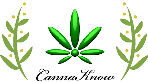 CannaKnow is a cannabis advocacy group. We fundraise for cannabis research. Our goal: Research, Educate, and Raise Awareness. We can't do it without you!