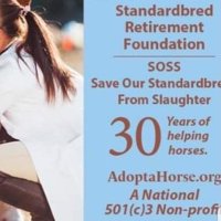 SRF_SOSS #standardbred #stbd.ret.fnd(@SRF_SOSS) 's Twitter Profile Photo