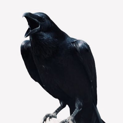 Jemil20629372's profile picture. Fînansa Projeya | FînTech | Aborî