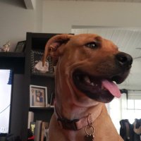 yajimoby (@lloydwinslow2) 's Twitter Profile