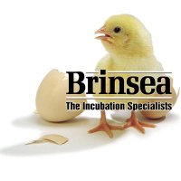 Brinsea Products Inc(@BrinseaUS) 's Twitter Profile Photo