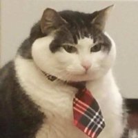 Kasey Zhang (@_weexiao) 's Twitter Profile Photo Kasey Zhang (@_weexiao) 's Twitter Profile Photo
