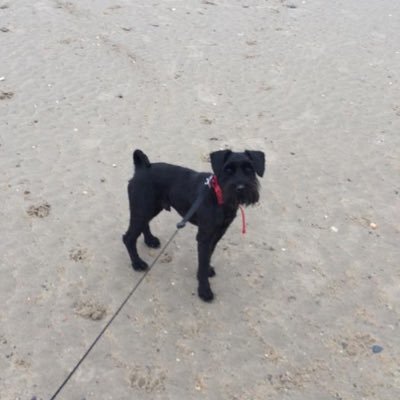 amy42051771's profile picture. ❤️🐾