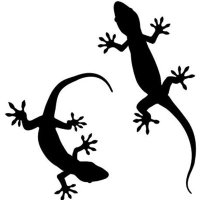 みずさわー (@yjdswqonnr1nmkq) Twitter profile photo