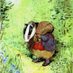 Badger (@badgerlandlord) Twitter profile photo Badger (@badgerlandlord) Twitter profile photo