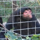 cheri benson-evans - @cheri_evo - Twitter