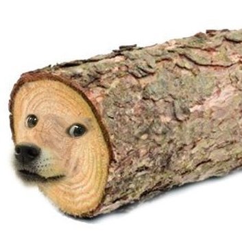 funnytroll55's profile picture. 