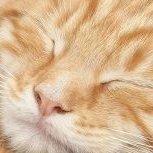 severeIydamaged's profile picture. ⠀⠀⠀⠀⠀⠀