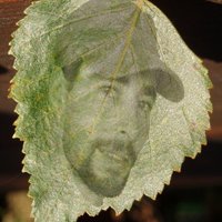 Xan (@xanmerendolas) 's Twitter Profile