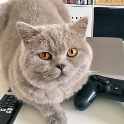 mushkin80's profile picture. 