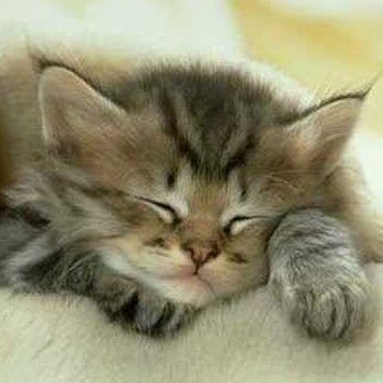 sakuragt500e's profile picture. 趣味専用垢です。主にゲーム中心となりますが、音楽など他のジャンルにも関わったりする事がありますのでご理解の程を。

一生を自分の趣味中心に生きる。まぁ、こんなヤツが世界に一人ぐらい居ても良いやなｗ