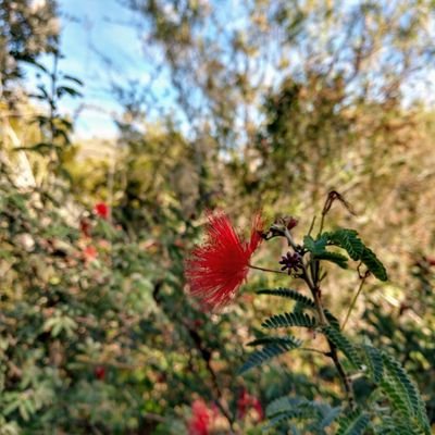 makingmagic222's profile picture. sometimes it's the little things that make you happy