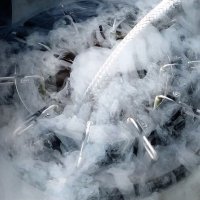 CTP Cryogenics (@ctpcryogenics) 's Twitter Profile