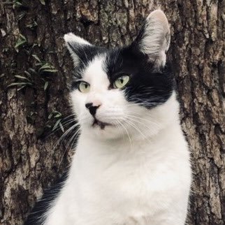 Ryosuke34866517's profile picture. エンジニアになりたいアラサーのサラリーマン。Railsエンジニアを完全独学で目指します💪2019年11月学習開始➡️現在ポートフォリオ作成中➡️7月から転職活動開始予定。休日は音楽活動(DTM、作曲、ベース)してます🎹