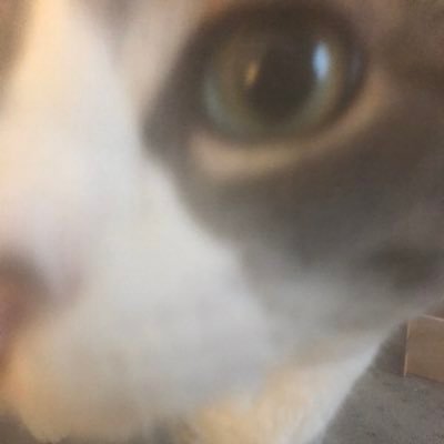 Psyer_'s profile picture. Rank 1 Fun Haver